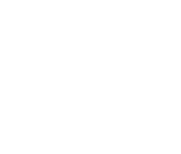 AE Project